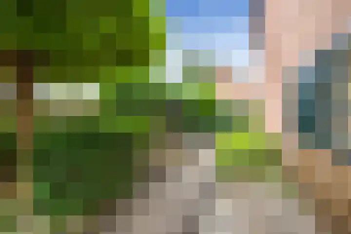 Gomarushof 38 Hilversum thumbnail 13
