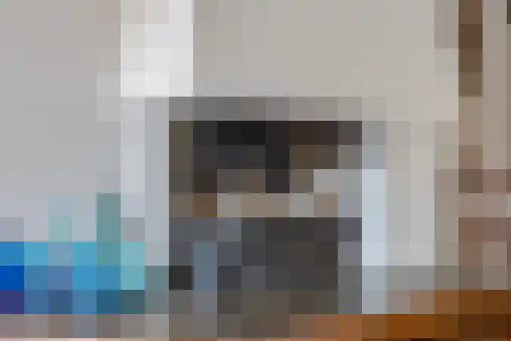 Gomarushof 38 Hilversum thumbnail 20