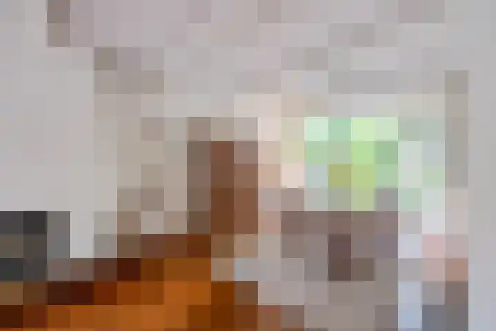 Gomarushof 38 Hilversum thumbnail 22