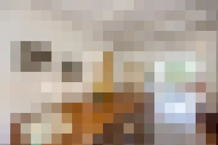 Gomarushof 38 Hilversum thumbnail 23
