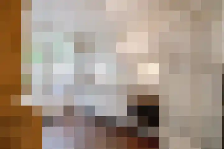 Gomarushof 38 Hilversum thumbnail 24
