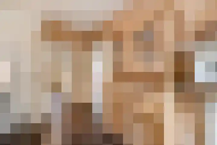 Gomarushof 38 Hilversum thumbnail 26