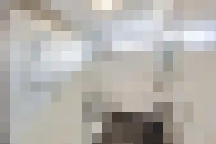 Gomarushof 38 Hilversum thumbnail 35