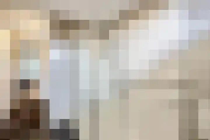 Gomarushof 38 Hilversum thumbnail 36