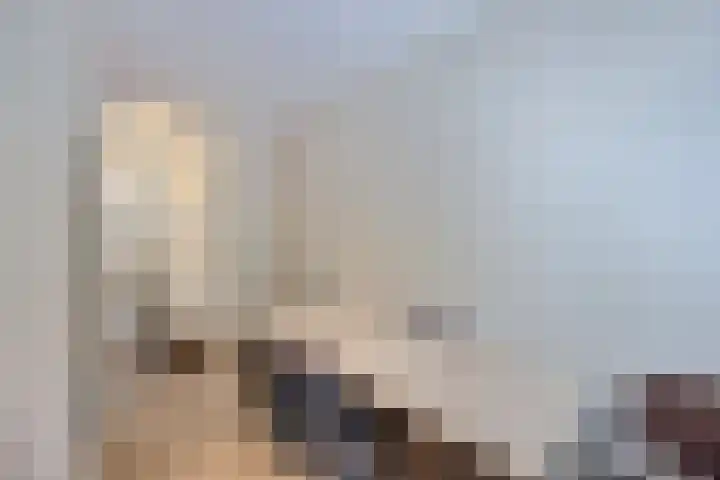 Gomarushof 38 Hilversum thumbnail 37