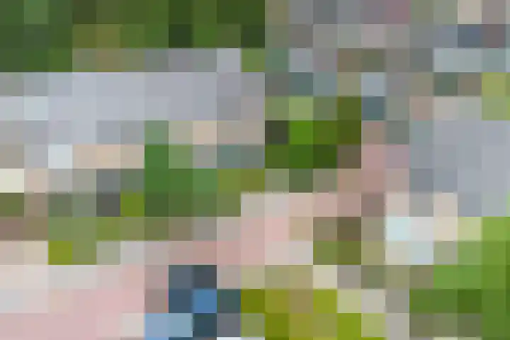 Gomarushof 38 Hilversum thumbnail 4