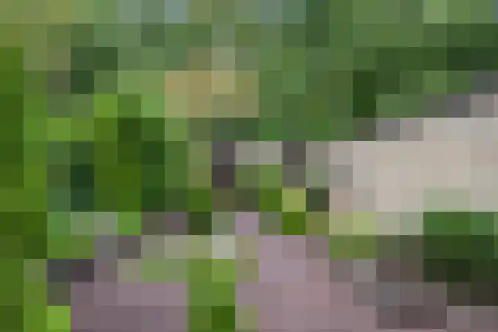 Gomarushof 38 Hilversum thumbnail 7