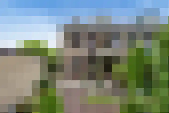 Gomarushof 38 Hilversum thumbnail 8