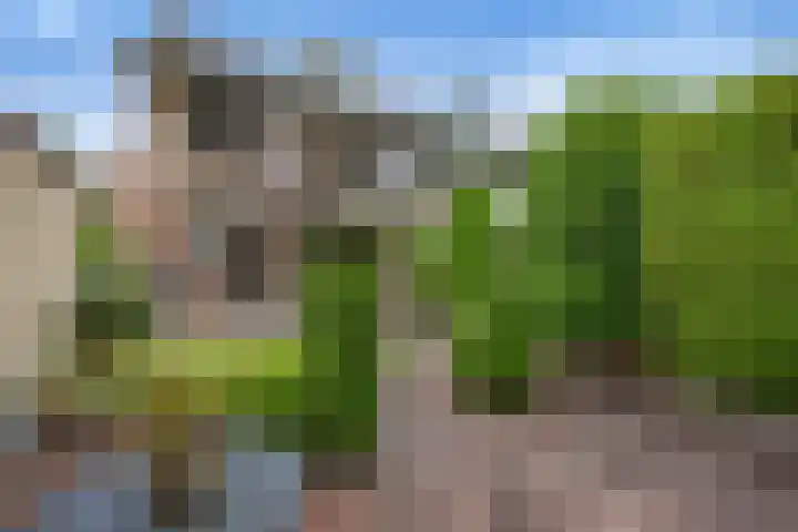 Gomarushof 38 Hilversum thumbnail 9