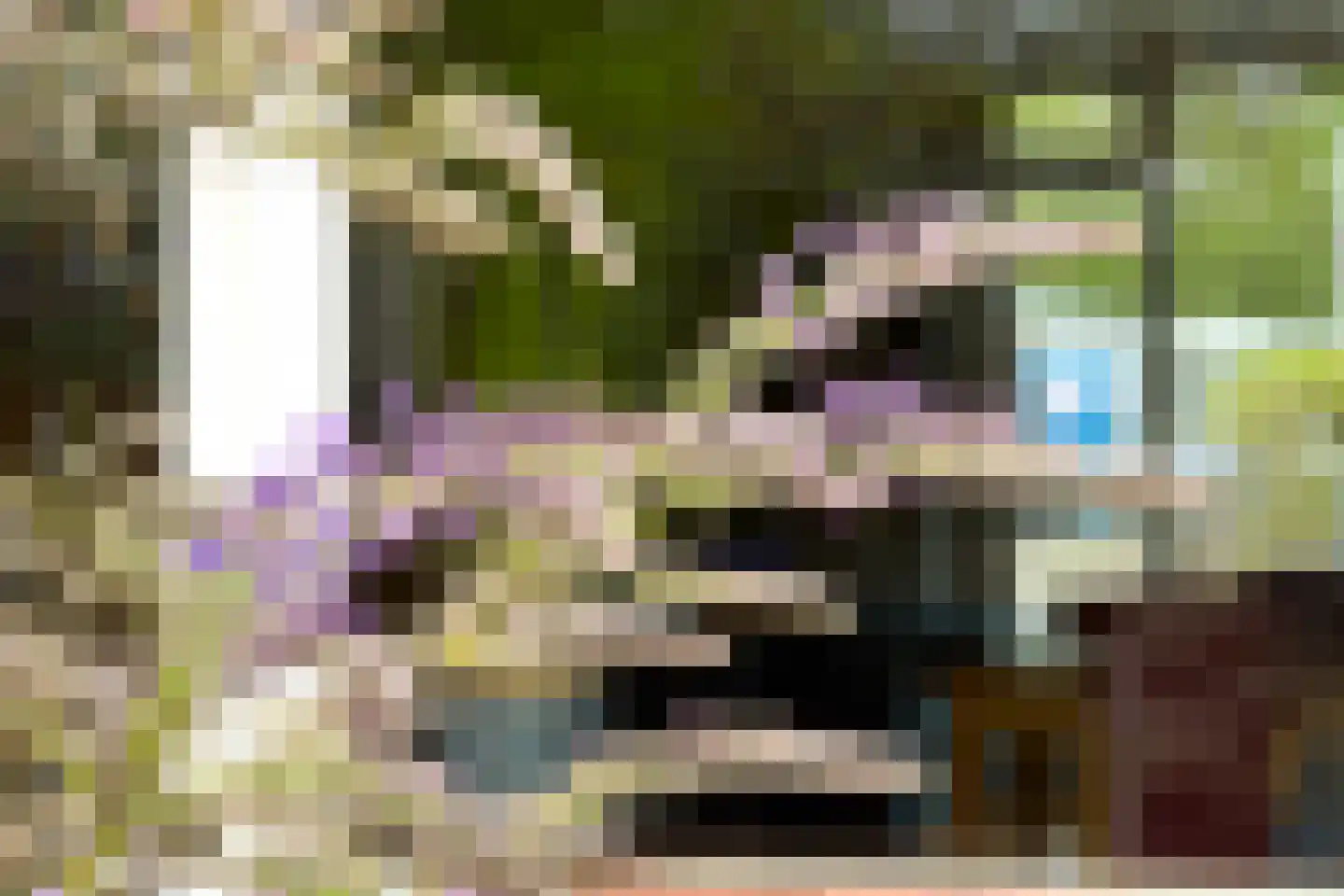 Gomarushof 64 Hilversum thumbnail 30