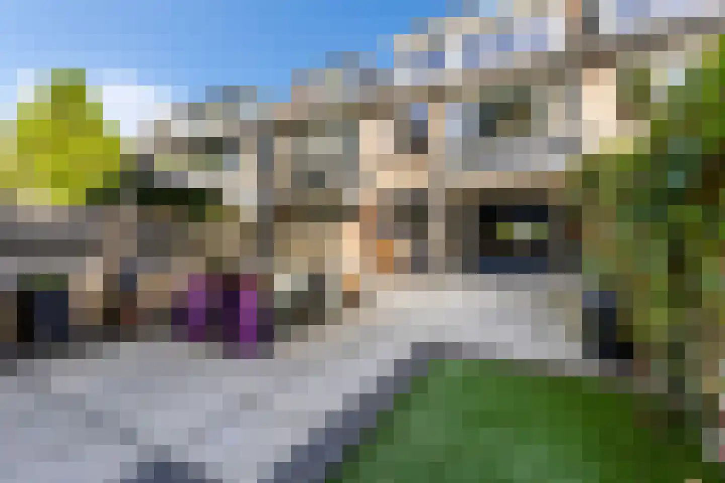 Gomarushof 84 Hilversum thumbnail 17