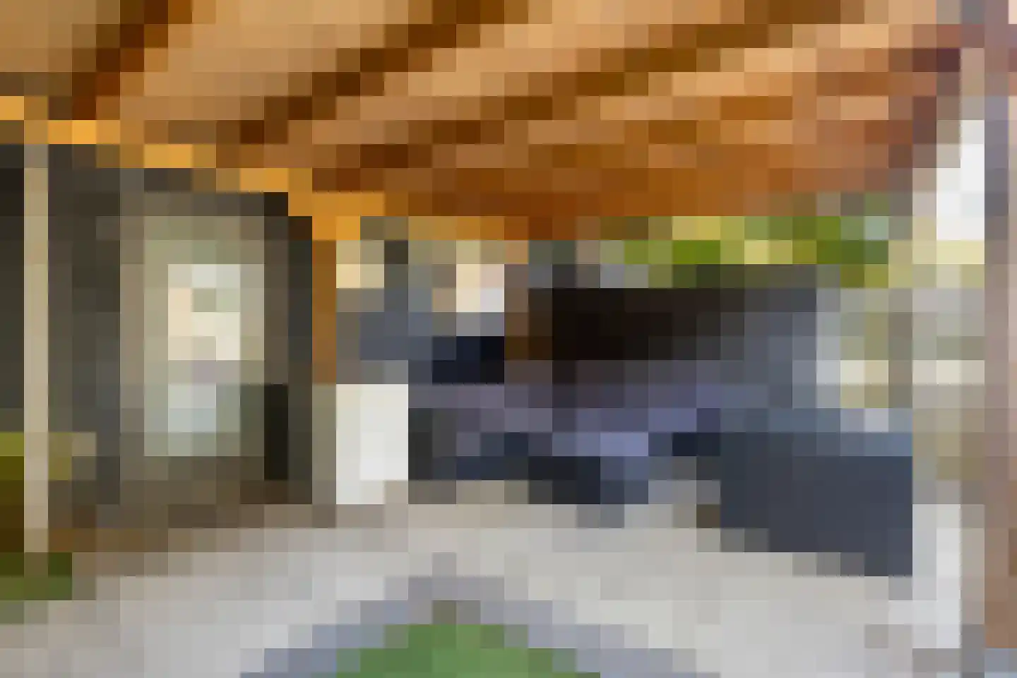 Gomarushof 84 Hilversum thumbnail 18