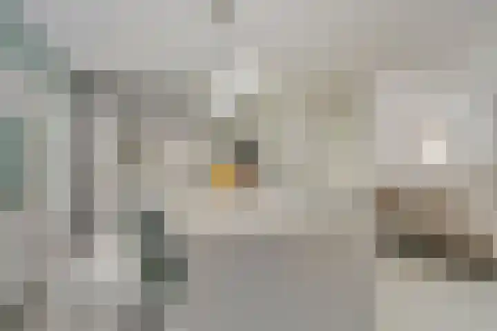 Gomarusstraat 14 Groningen thumbnail 10