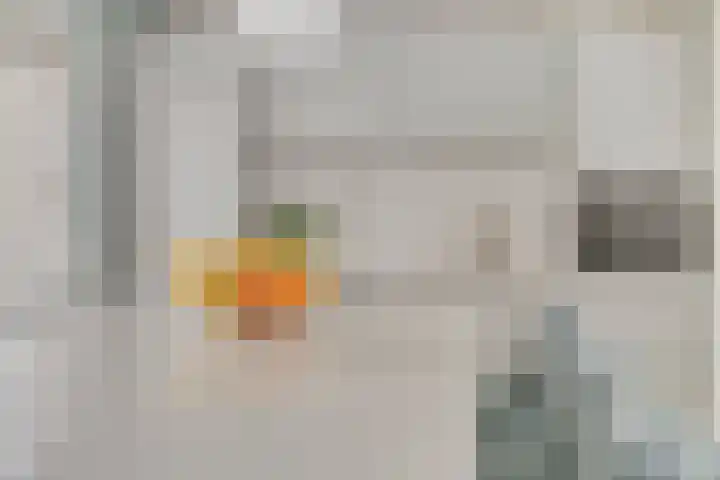 Gomarusstraat 14 Groningen thumbnail 12