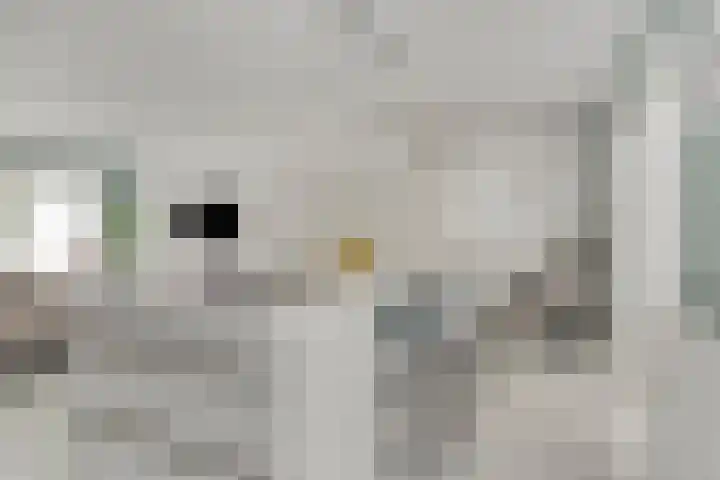 Gomarusstraat 14 Groningen thumbnail 14