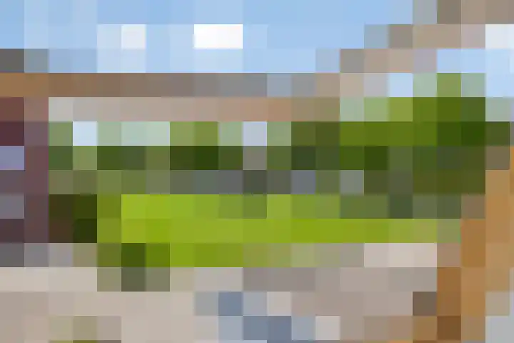 Gomarusstraat 14 Groningen thumbnail 23