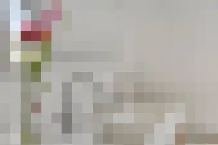 Gomarusstraat 14 Groningen thumbnail 25