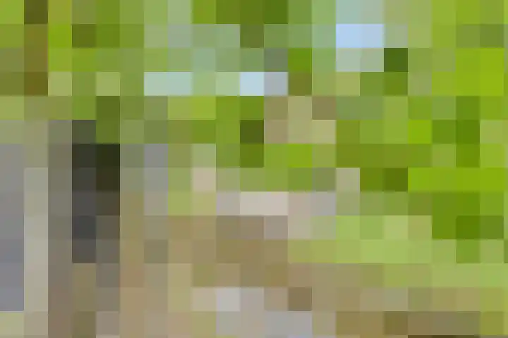 Gomarusstraat 14 Groningen thumbnail 33