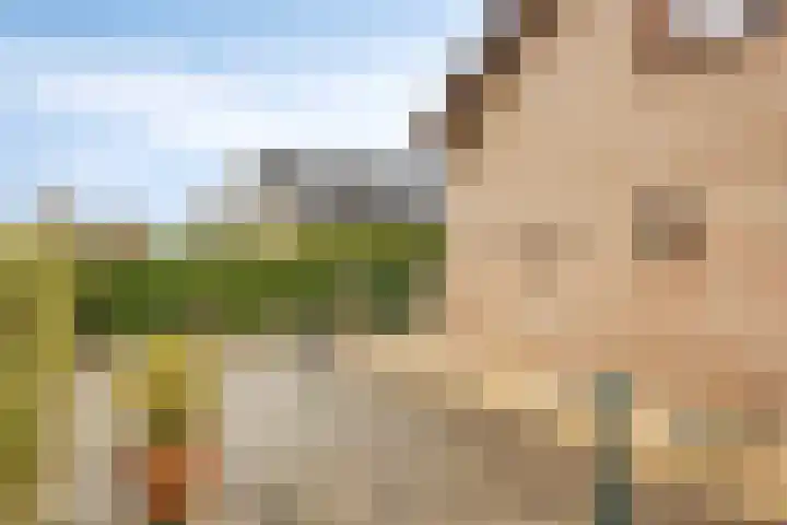 Gomarusstraat 14 Groningen thumbnail 5