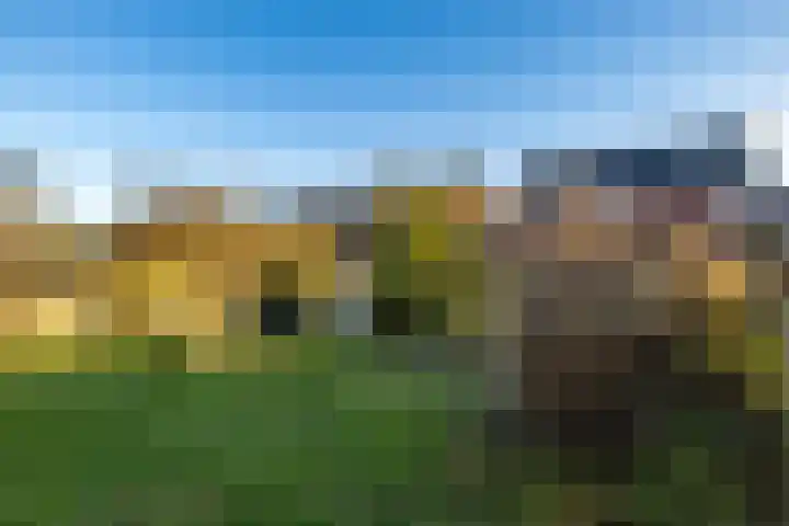 Gomarusstraat 15 Groningen thumbnail 29