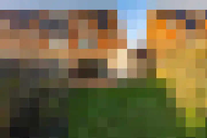 Gomarusstraat 15 Groningen thumbnail 32