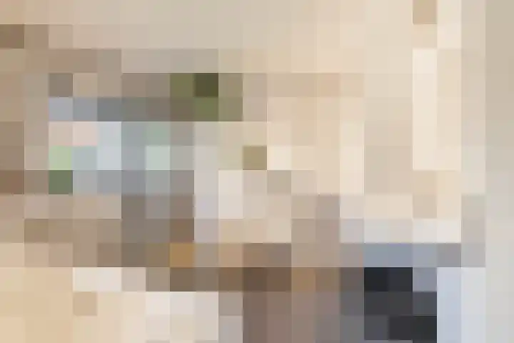Gomarusstraat 2 Groningen thumbnail 15
