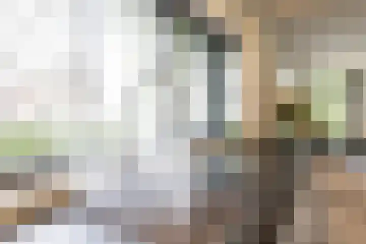 Gomarusstraat 2 Groningen thumbnail 32