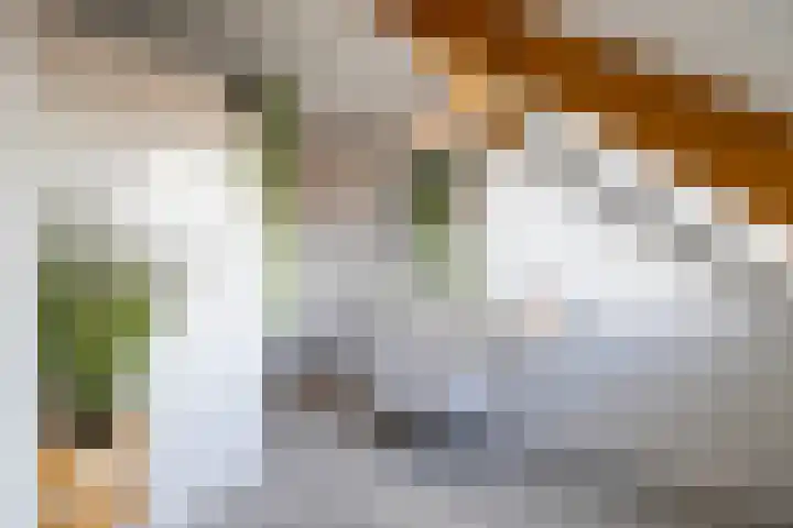 Gomarusstraat 2 Groningen thumbnail 48