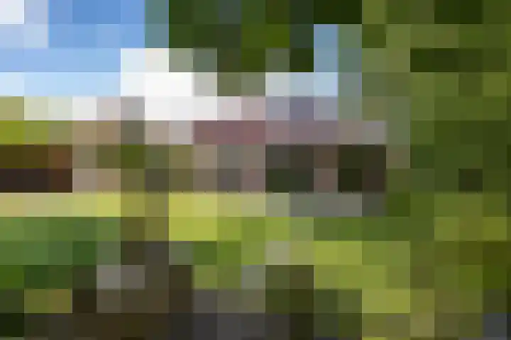 Gomarusstraat 2 Groningen thumbnail 5