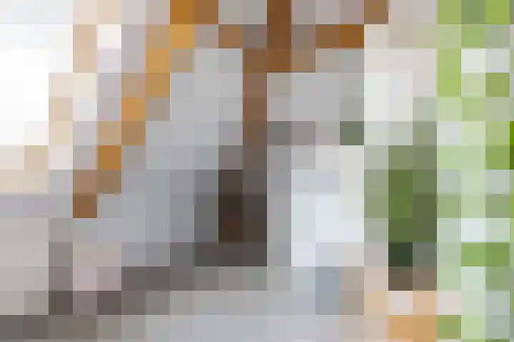 Gomarusstraat 2 Groningen thumbnail 50