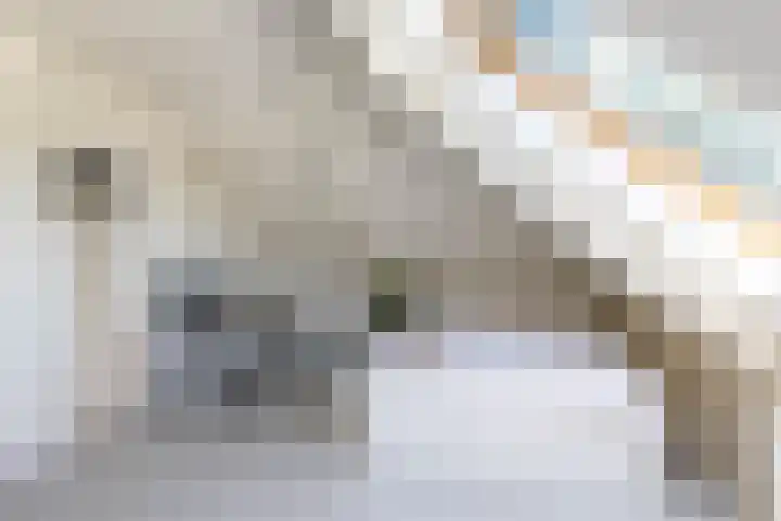 Gomarusstraat 2 Groningen thumbnail 52