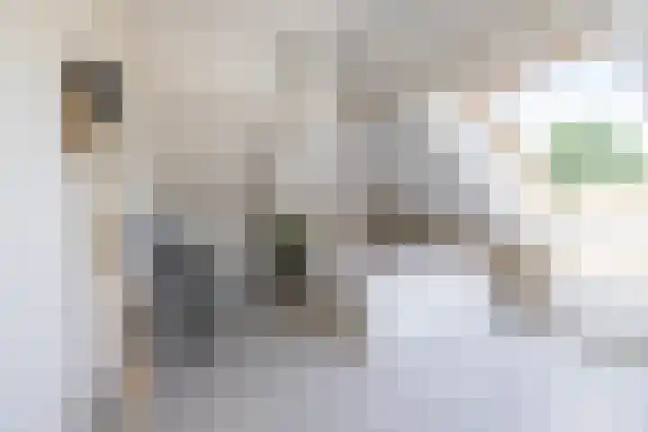 Gomarusstraat 2 Groningen thumbnail 53