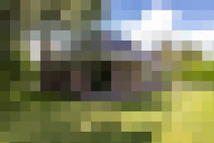 Gomarusstraat 2 Groningen thumbnail 59