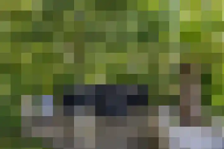 Gomarusstraat 2 Groningen thumbnail 6