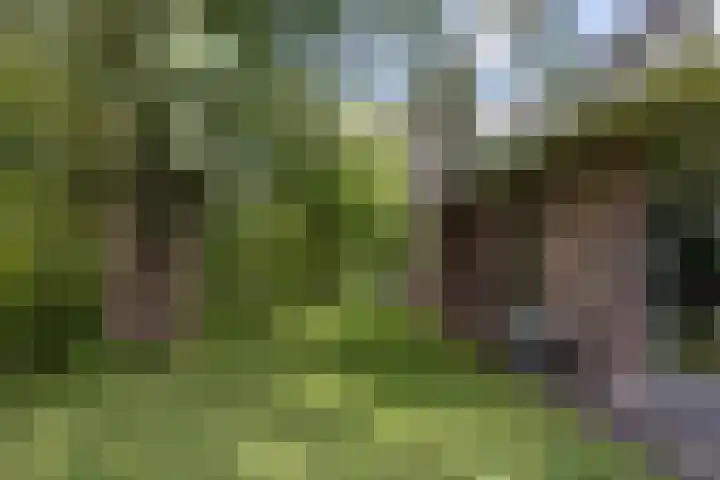 Gomarusstraat 2 Groningen thumbnail 60