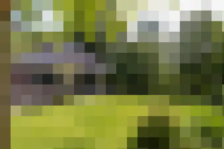 Gomarusstraat 2 Groningen thumbnail 62