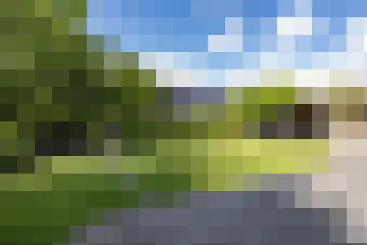 Gomarusstraat 2 Groningen thumbnail 63