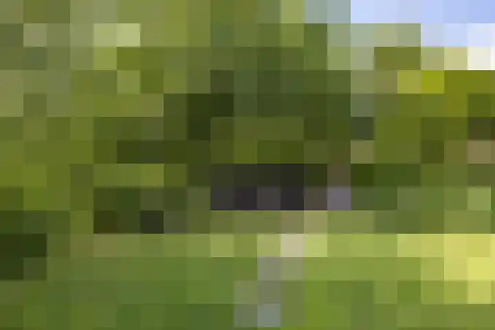 Gomarusstraat 2 Groningen thumbnail 64