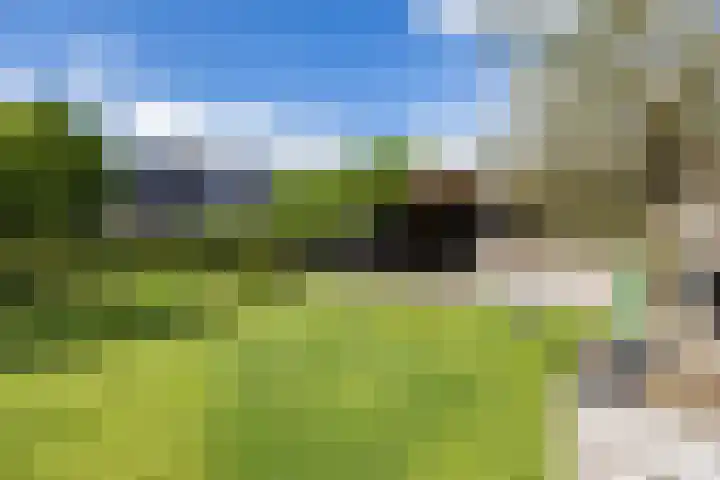 Gomarusstraat 2 Groningen thumbnail 65