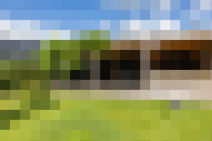 Gomarusstraat 2 Groningen thumbnail 66