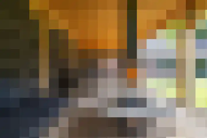 Gomarusstraat 2 Groningen thumbnail 69
