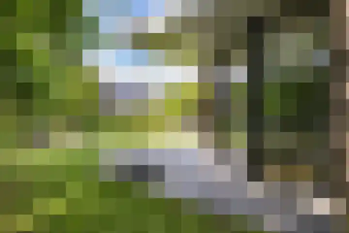 Gomarusstraat 2 Groningen thumbnail 7