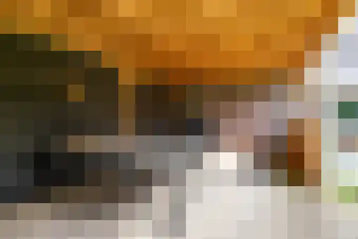 Gomarusstraat 2 Groningen thumbnail 70