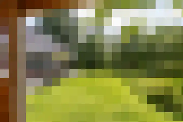 Gomarusstraat 2 Groningen thumbnail 71