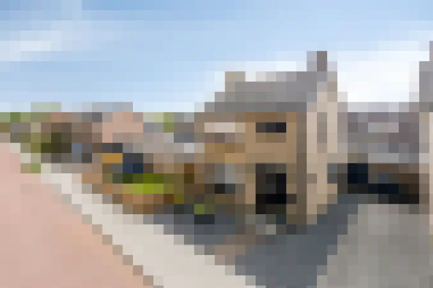 Gomarusstraat 27 Wagenberg thumbnail 39