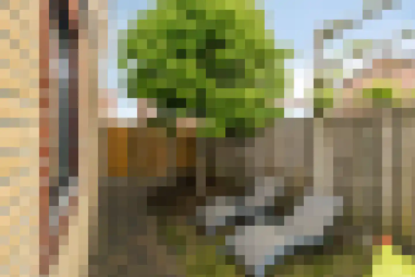 Gomarusstraat 27 Wagenberg thumbnail 6