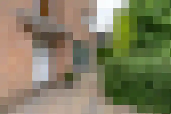 Gomarusstraat 5 Groningen thumbnail 5