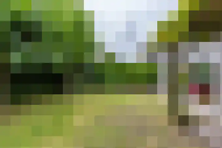 Gomarusstraat 5 Groningen thumbnail 67
