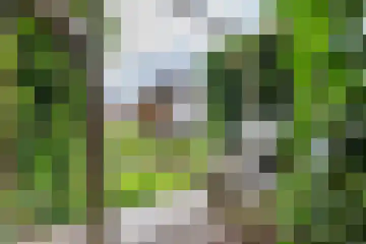 Gomarusstraat 5 Groningen thumbnail 68