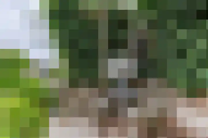 Gomarusstraat 5 Groningen thumbnail 69